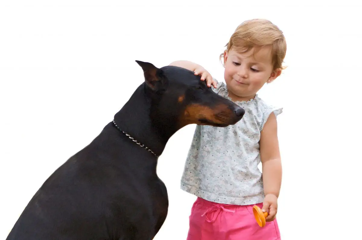 are dobermans good with kids