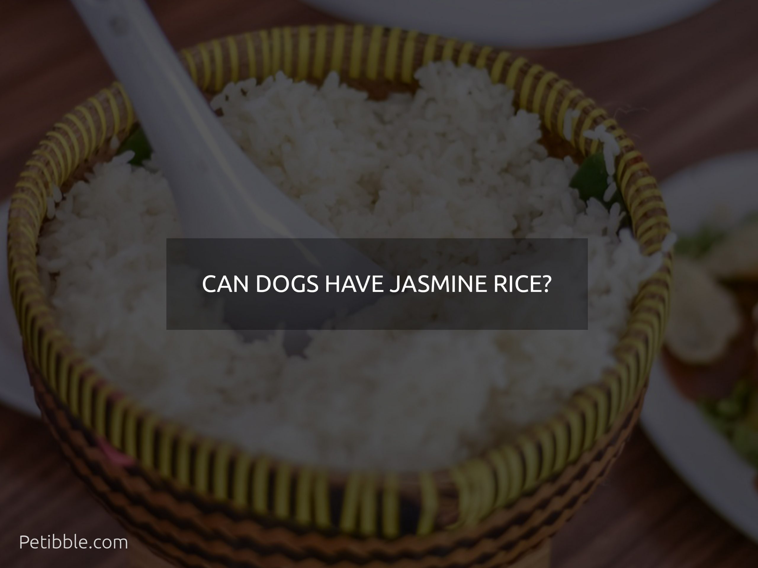 can dogs have jasmine rice?