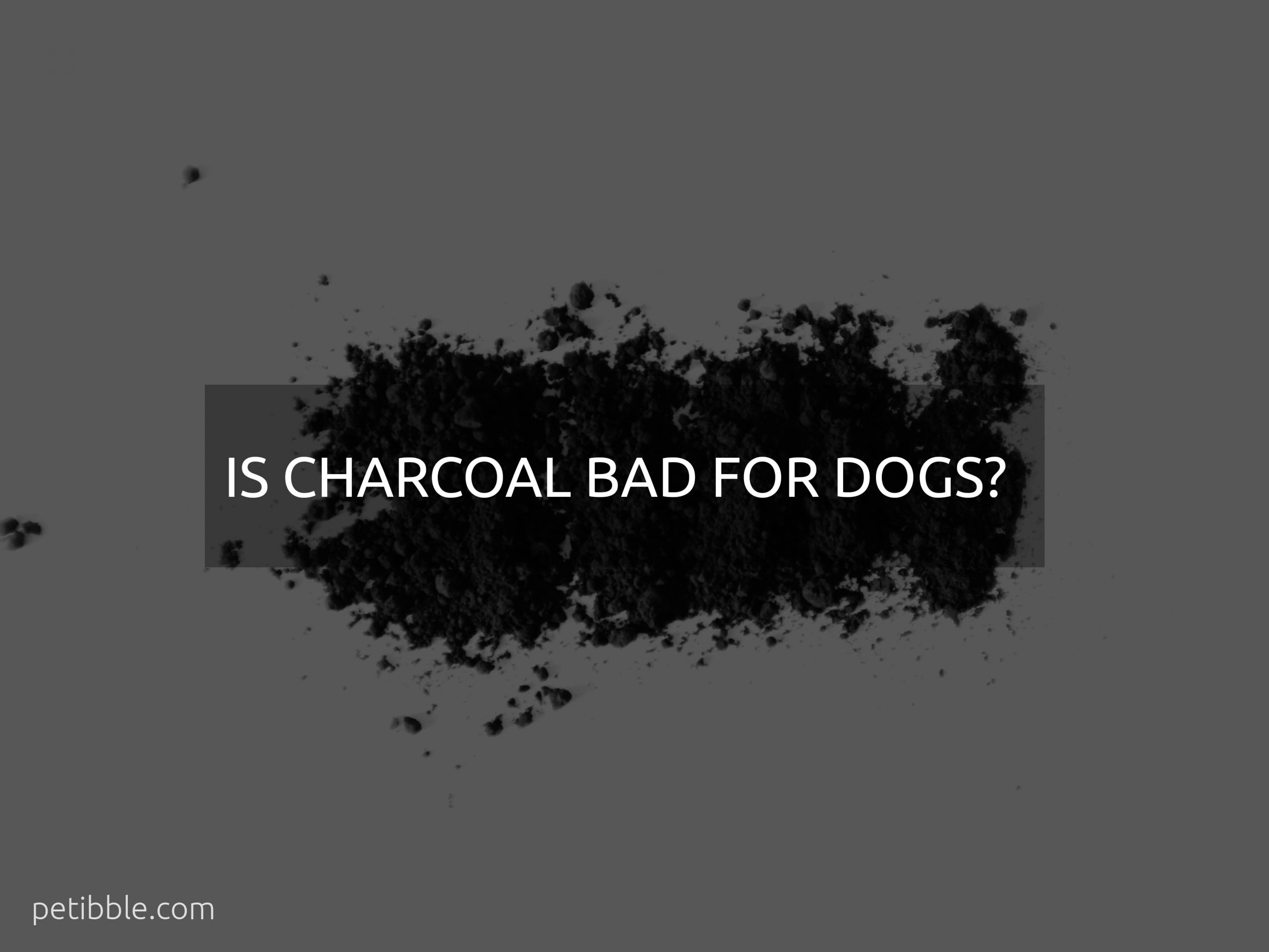 is charcoal bad for dogs?