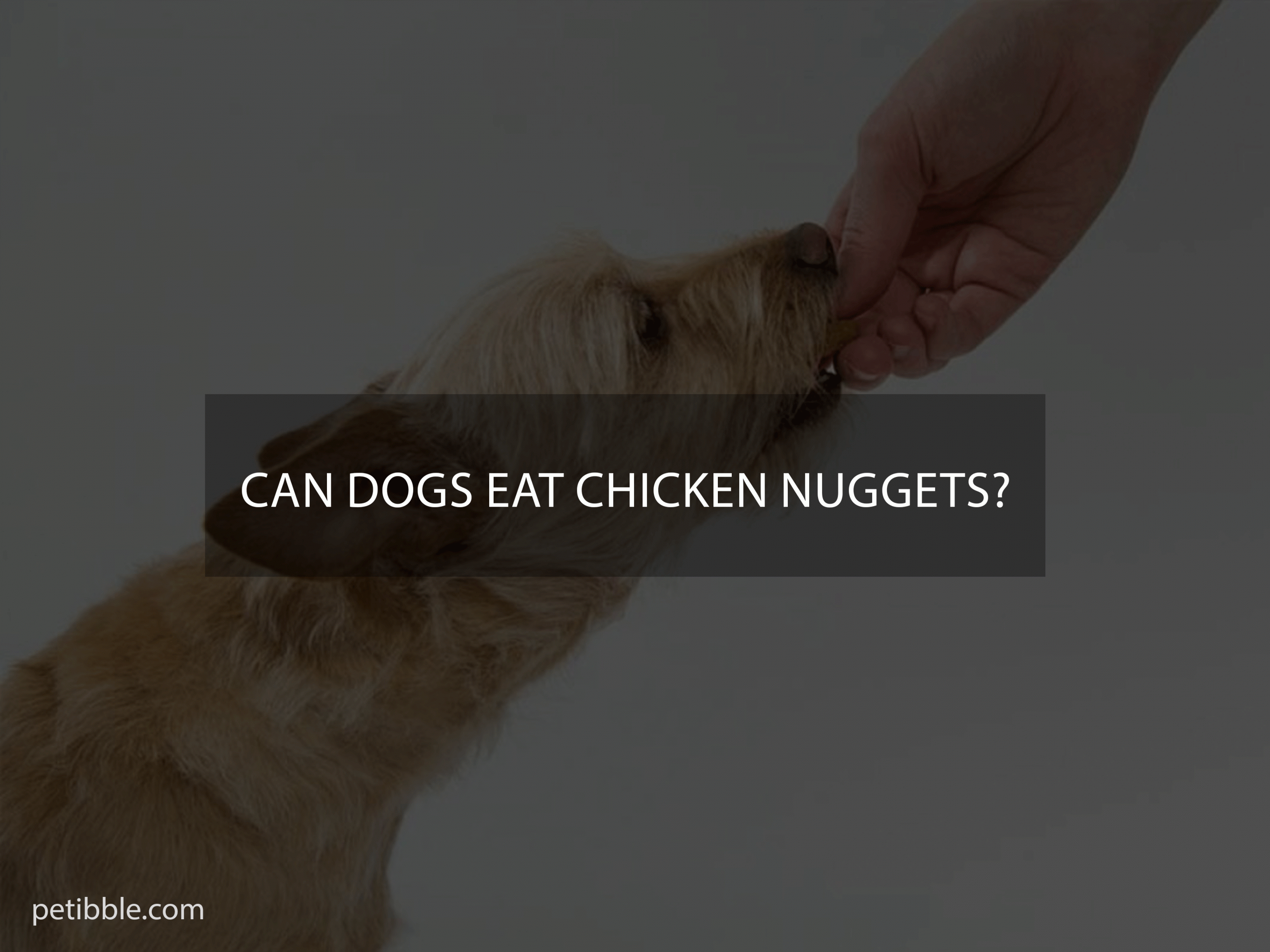 Can Dogs Eat Chicken Nuggets?