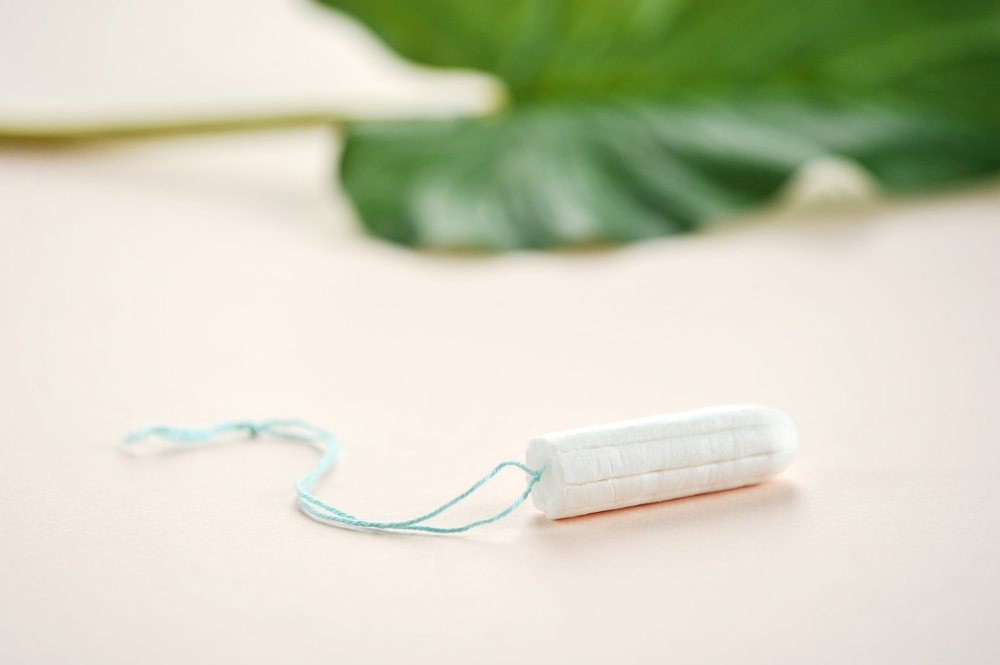 why do dogs eat tampons