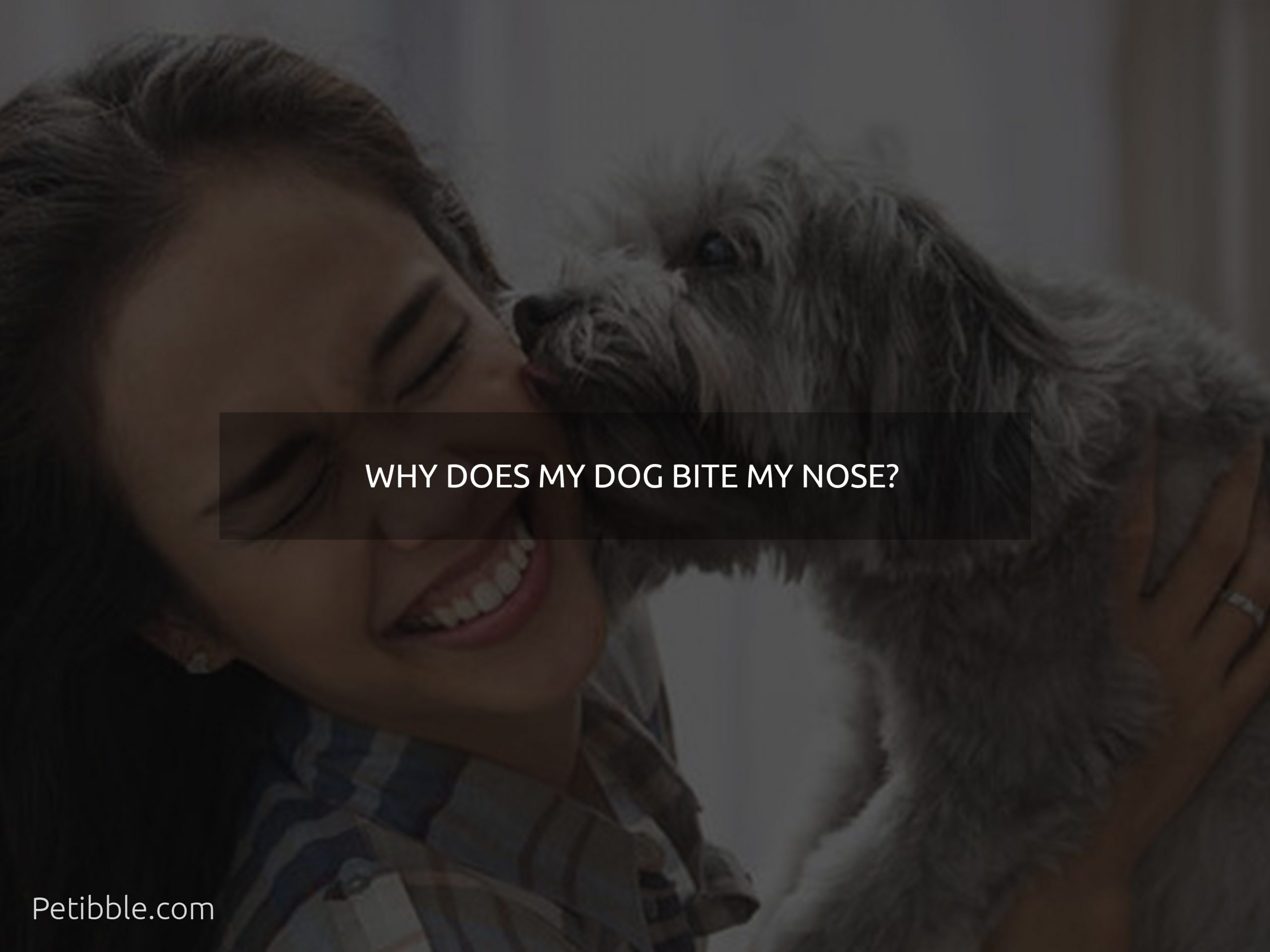 why does my dog bite my nose
