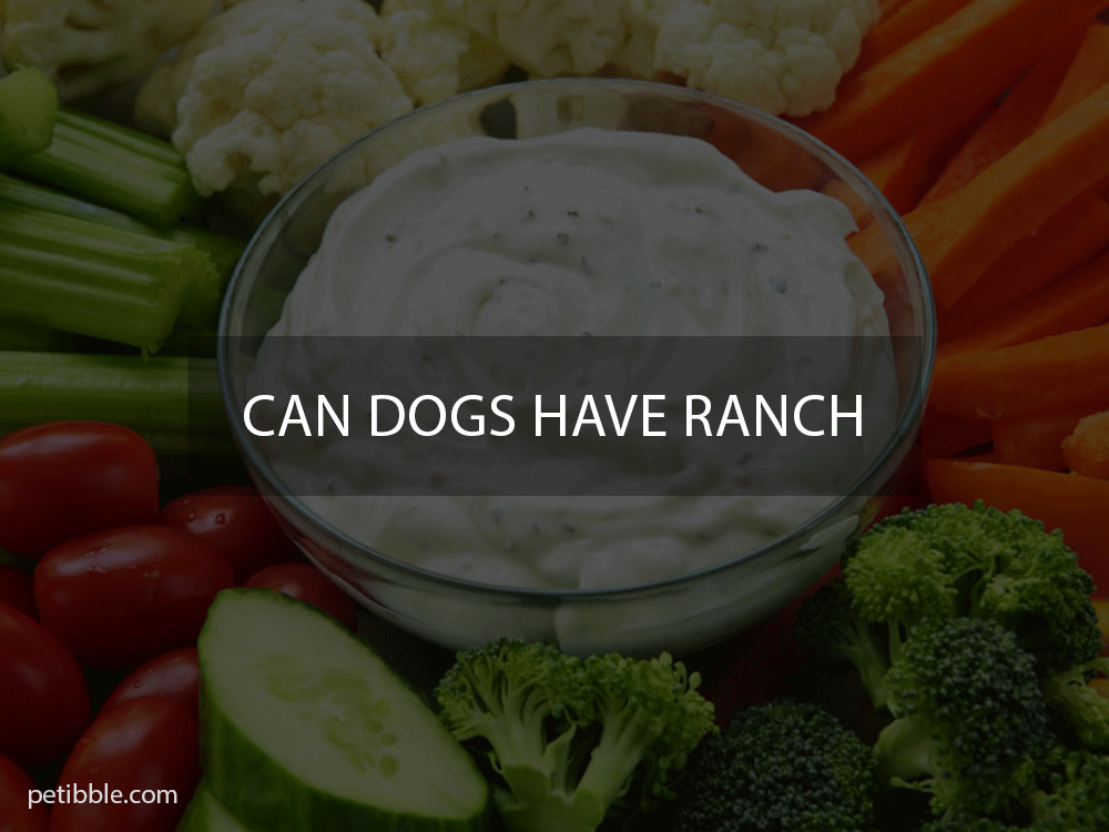 can dogs have ranch