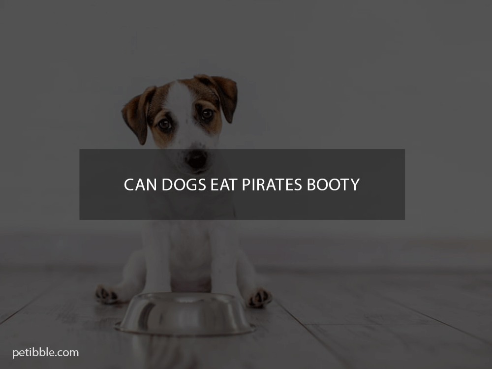 can dogs eat pirates booty