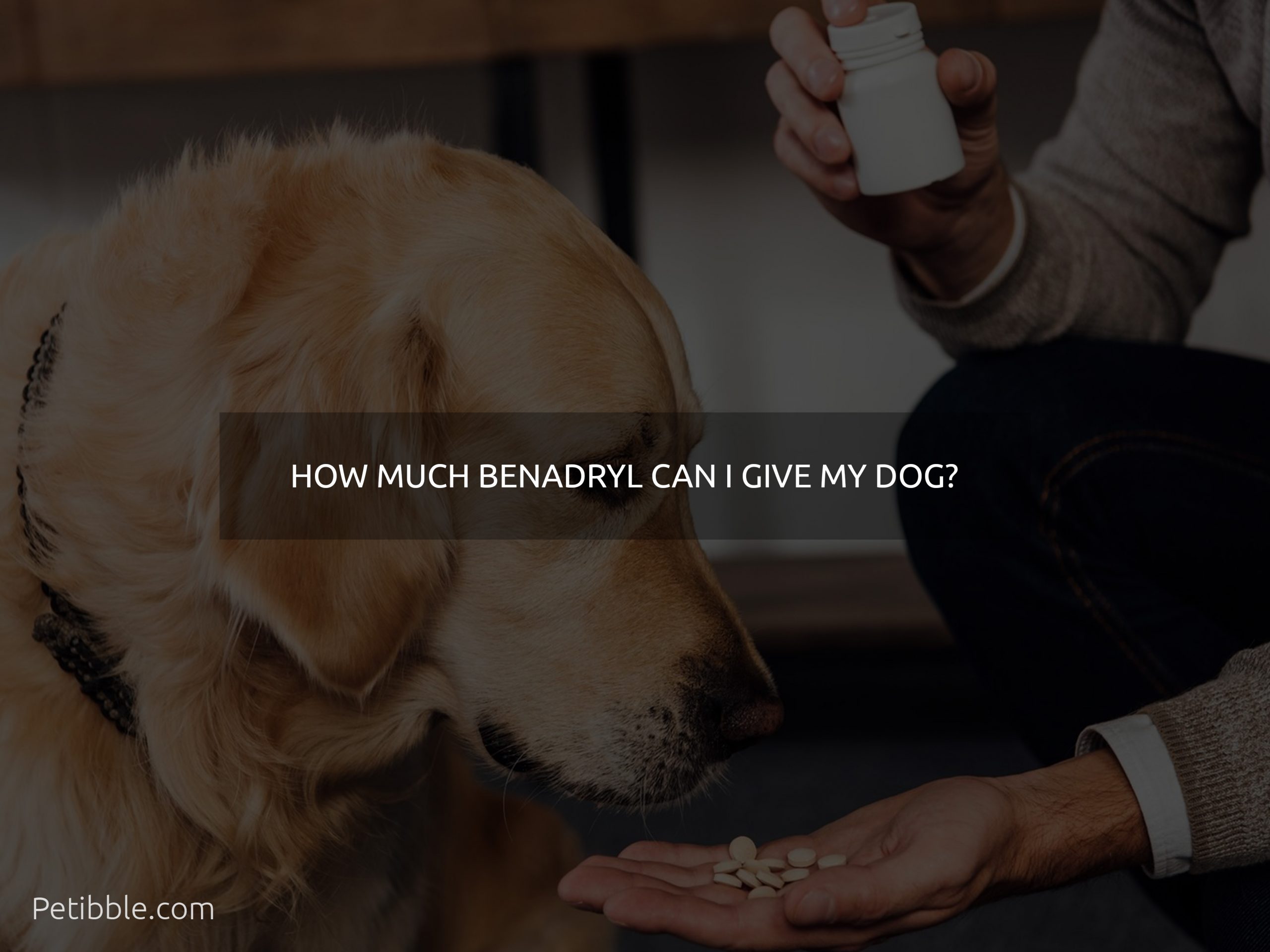 how much benadryl can I give my dog
