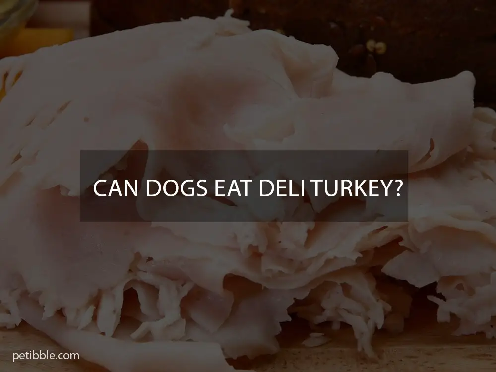 Can dogs eat deli turkey?