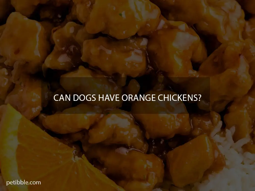 Can dogs have orange chickens?