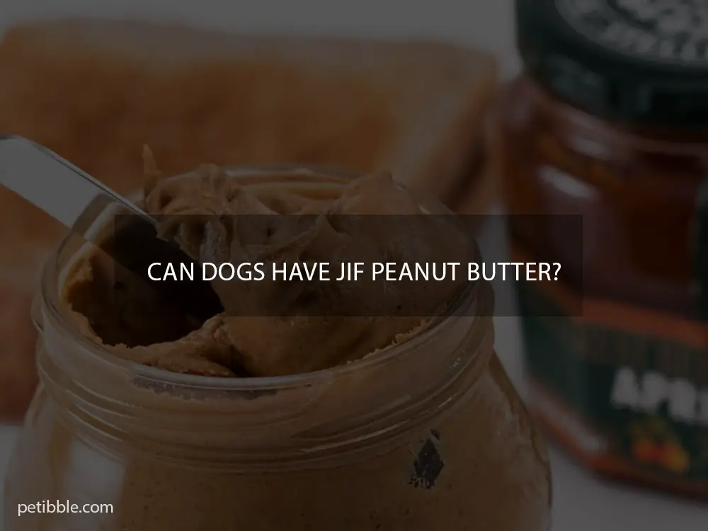 Can dogs have JIF peanut butter?