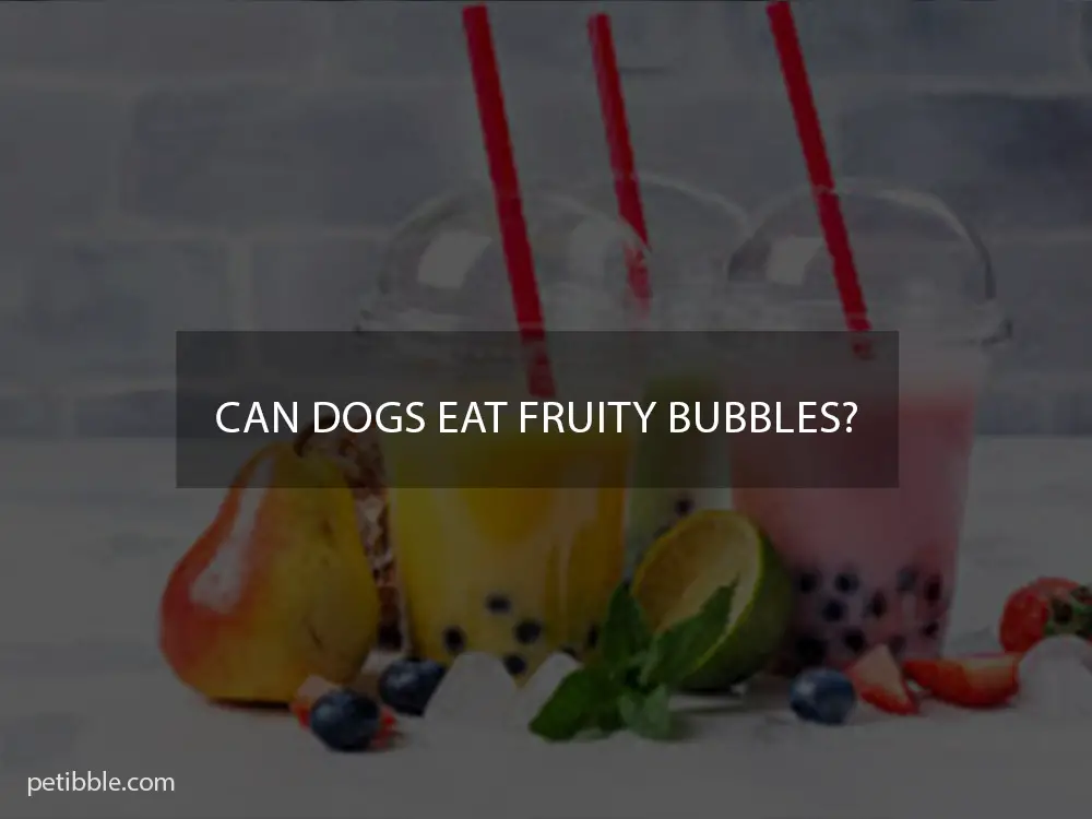 Can dogs eat fruity bubbles?