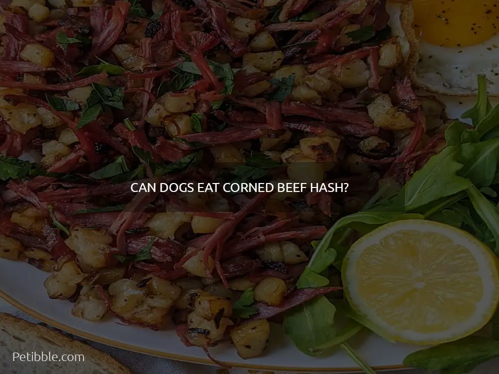 Can dogs eat corned beef hash?