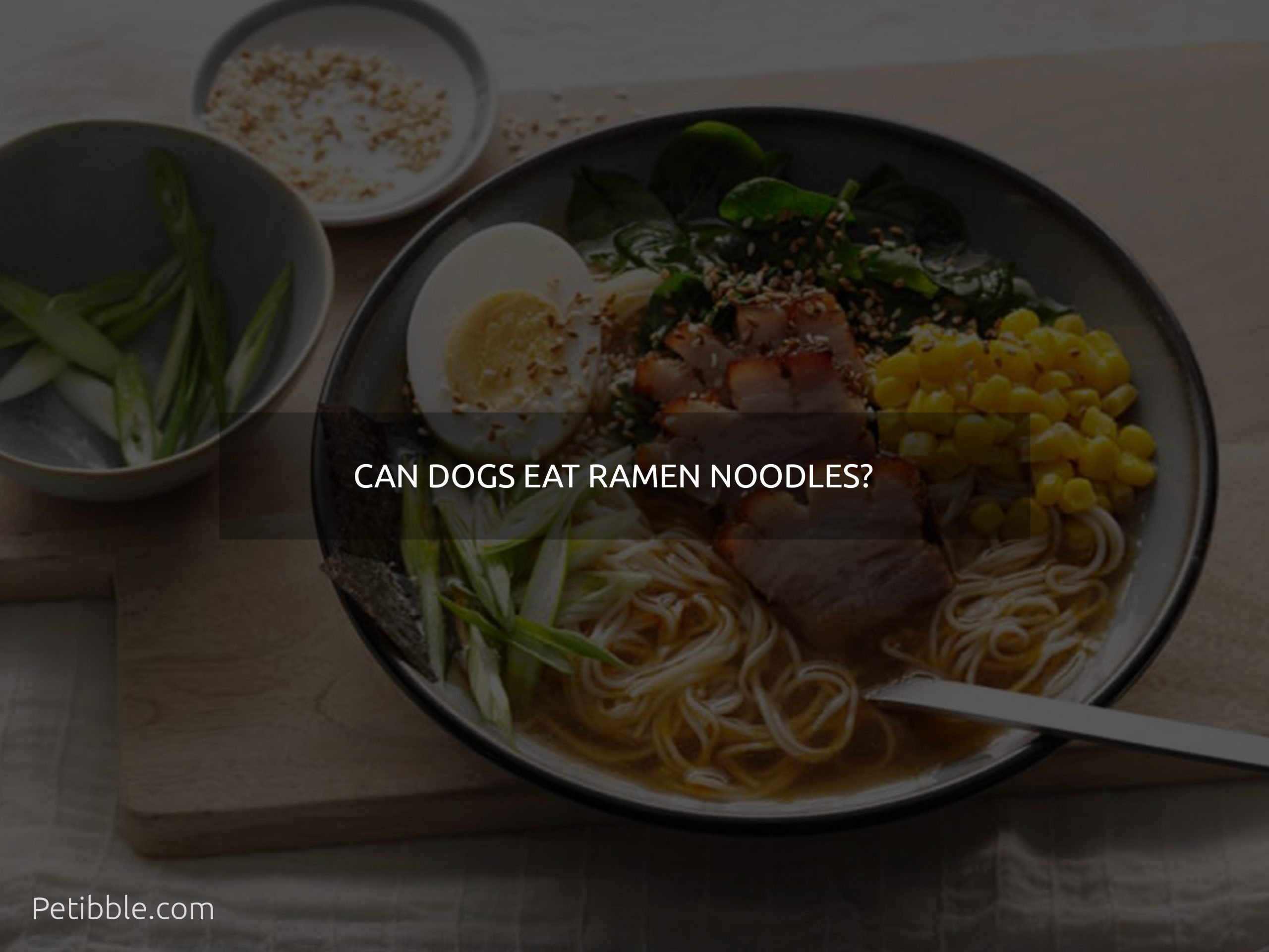  can dogs eat ramen noodles
