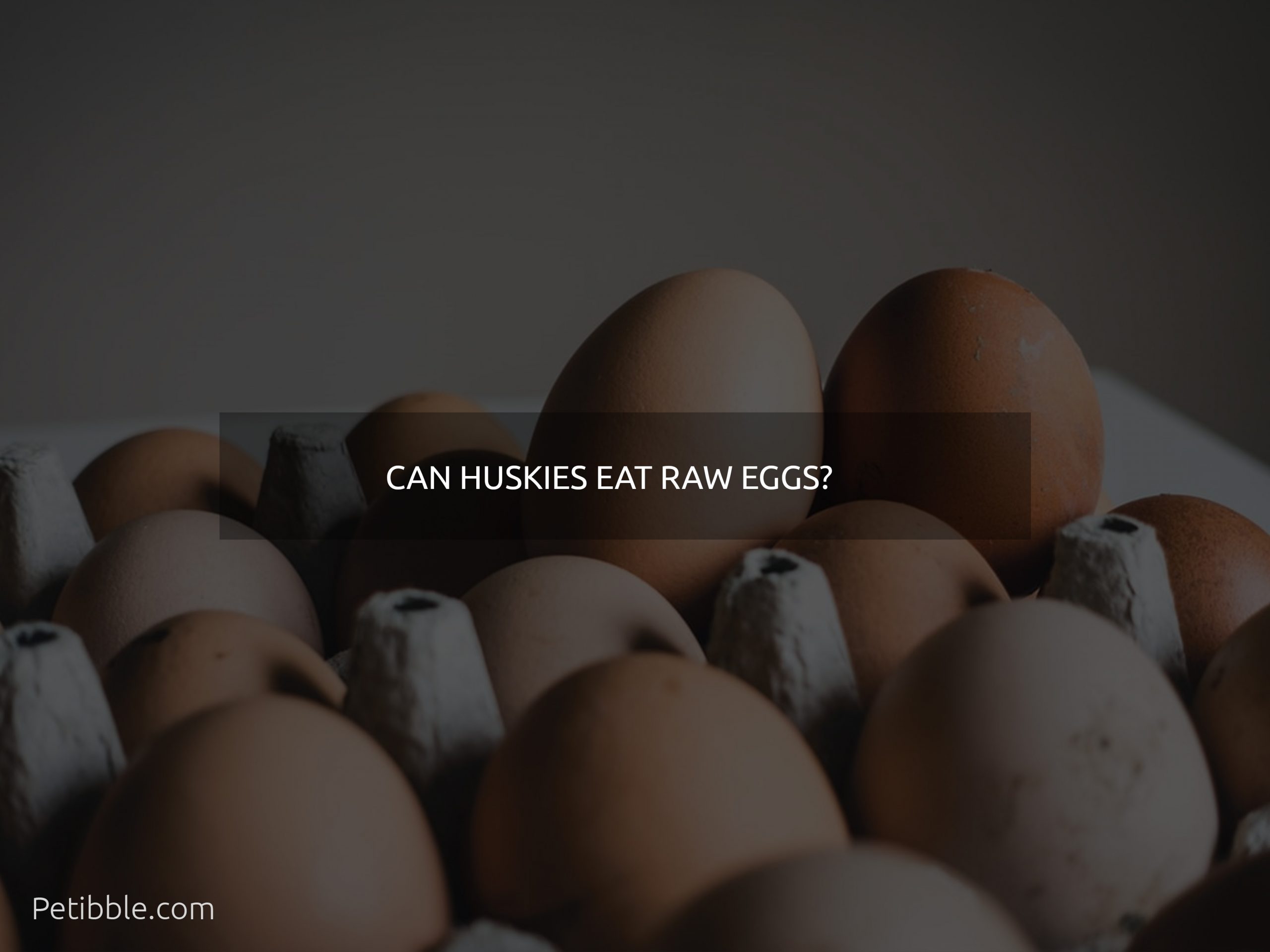 can huskies eat raw eggs?