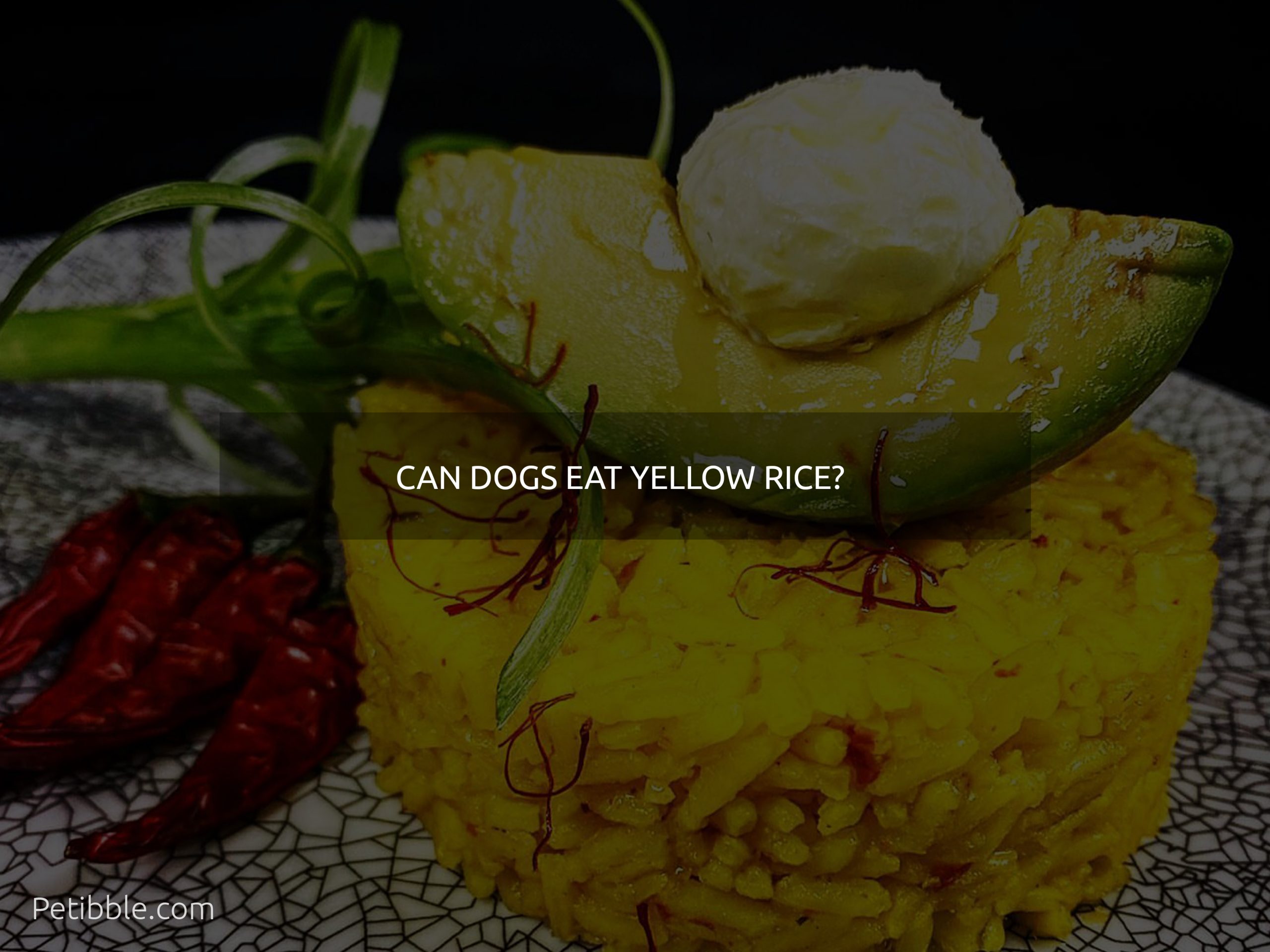 Can dogs eat yellow rice?
